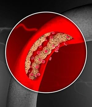 Healthy blood flow icon